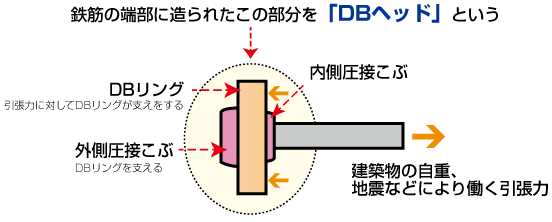 DBヘッド